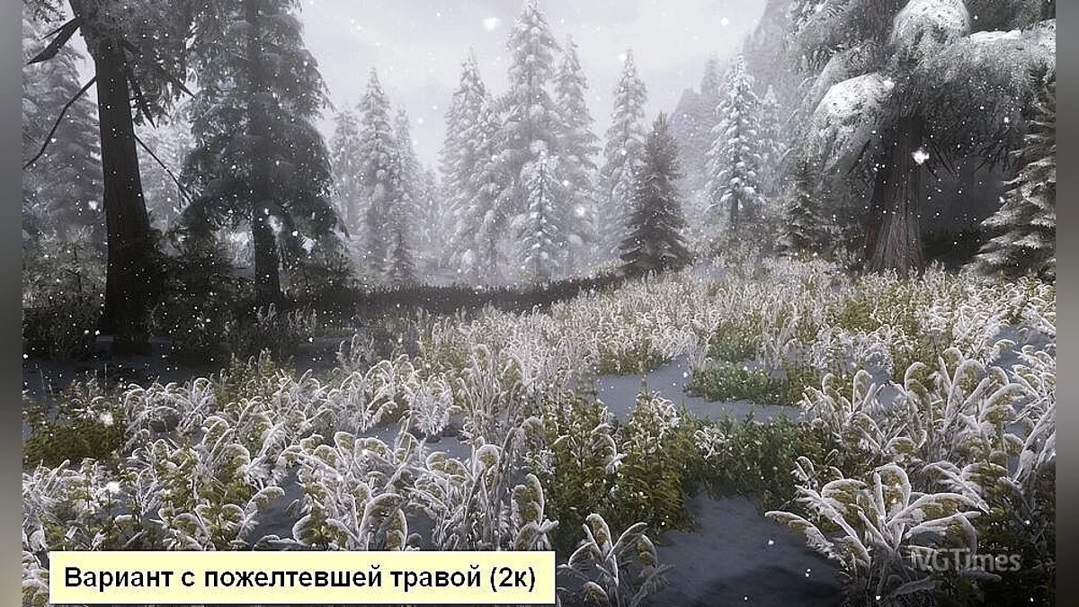The Elder Scrolls 5: Skyrim — Заснеженная трава