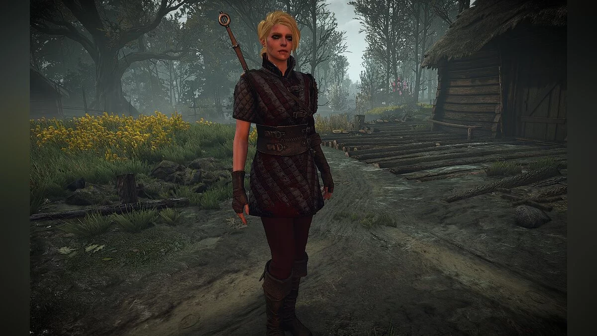 The Witcher 3: Wild Hunt - Complete Edition — Альтернативный костюм и внешний вид Цири