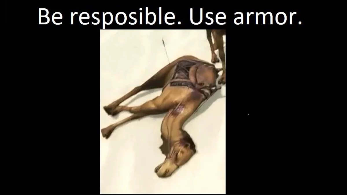 Mount & Blade 2: Bannerlord — Улучшение брони верблюдов