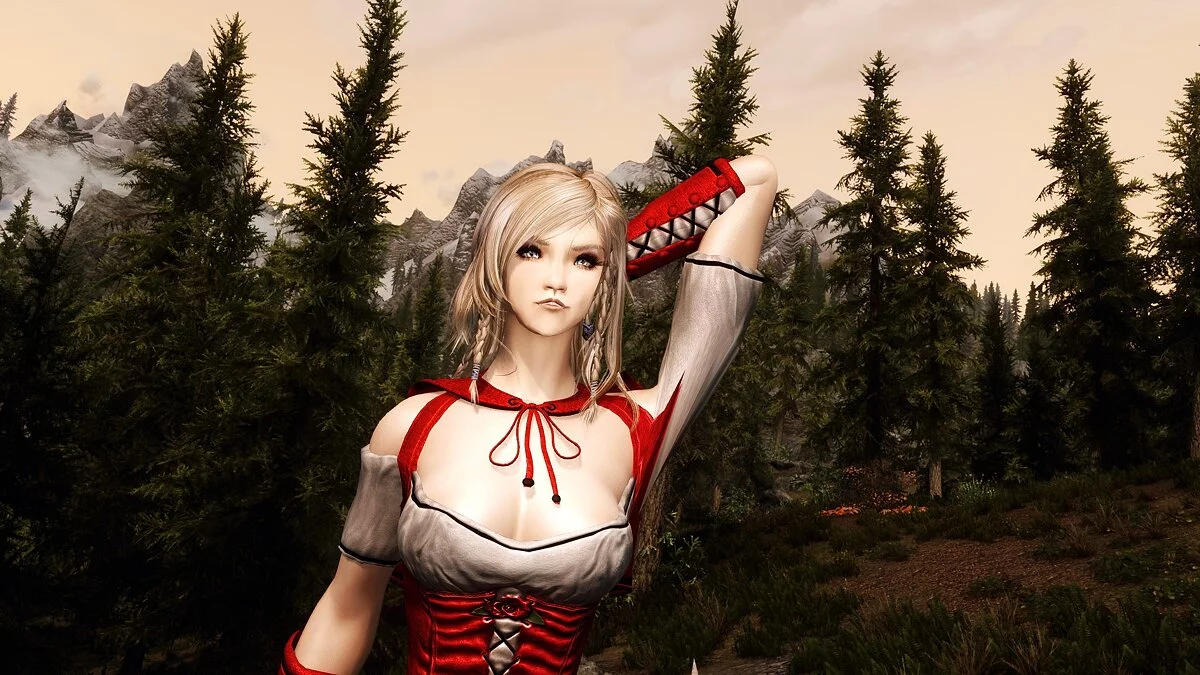 The Elder Scrolls 5: Skyrim Legendary Edition — Компаньон Брин