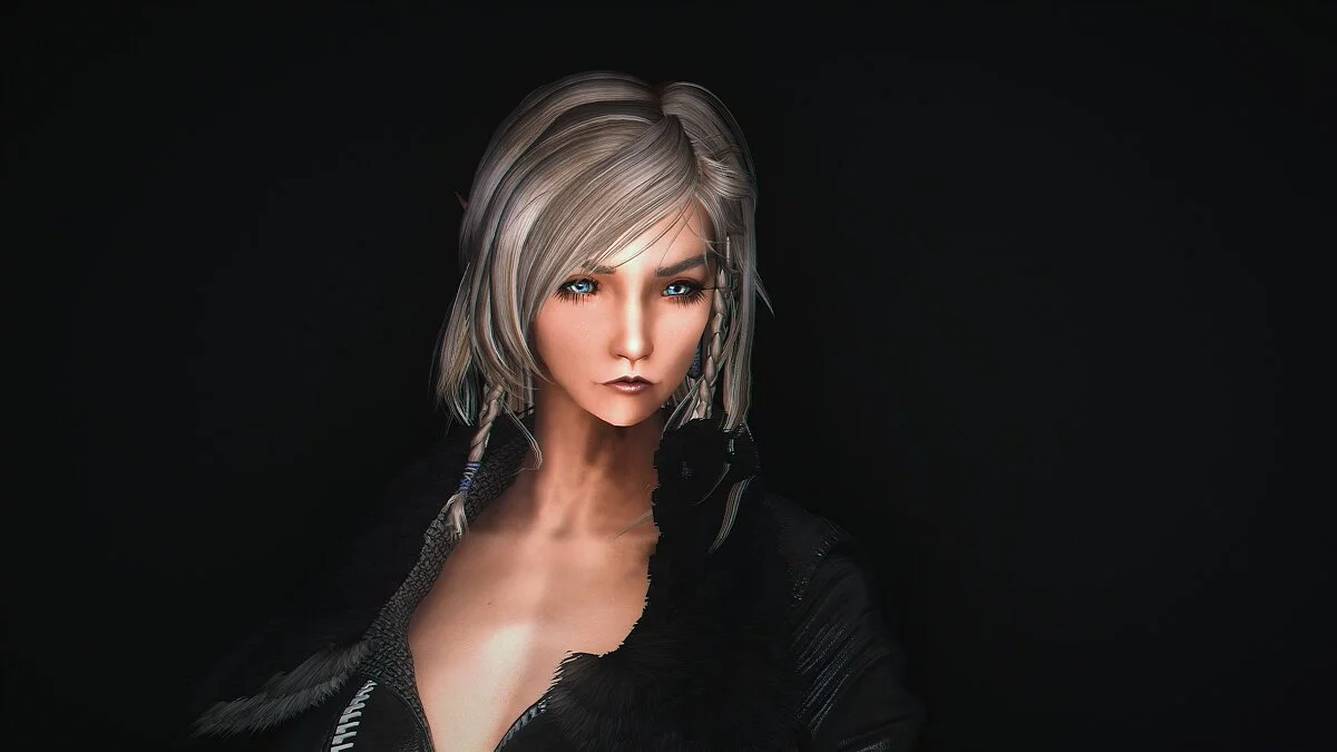 The Elder Scrolls 5: Skyrim Legendary Edition — Компаньон Брин