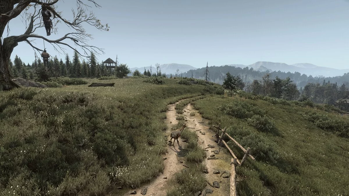 The Witcher 3: Wild Hunt — Разнообразная трава