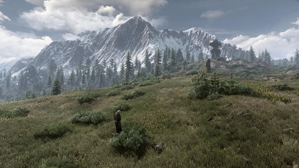 The witcher 3 grass mod фото 90