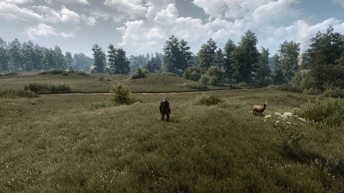 The Witcher 3: Wild Hunt — Разнообразная трава