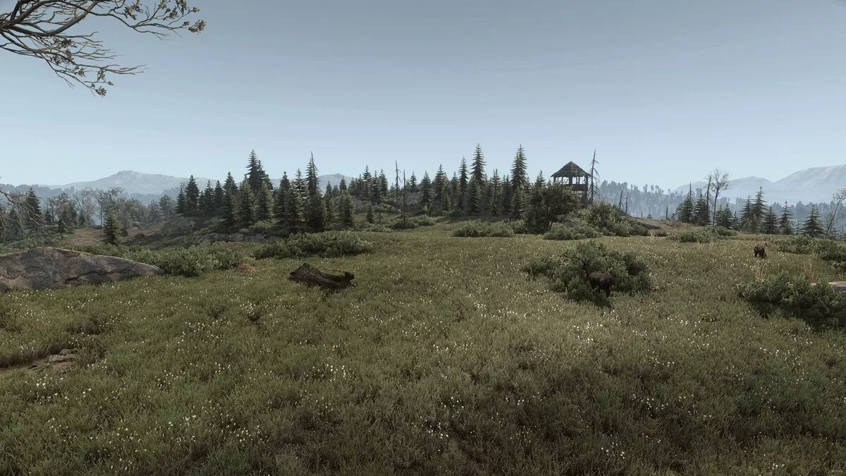 The Witcher 3: Wild Hunt — Разнообразная трава