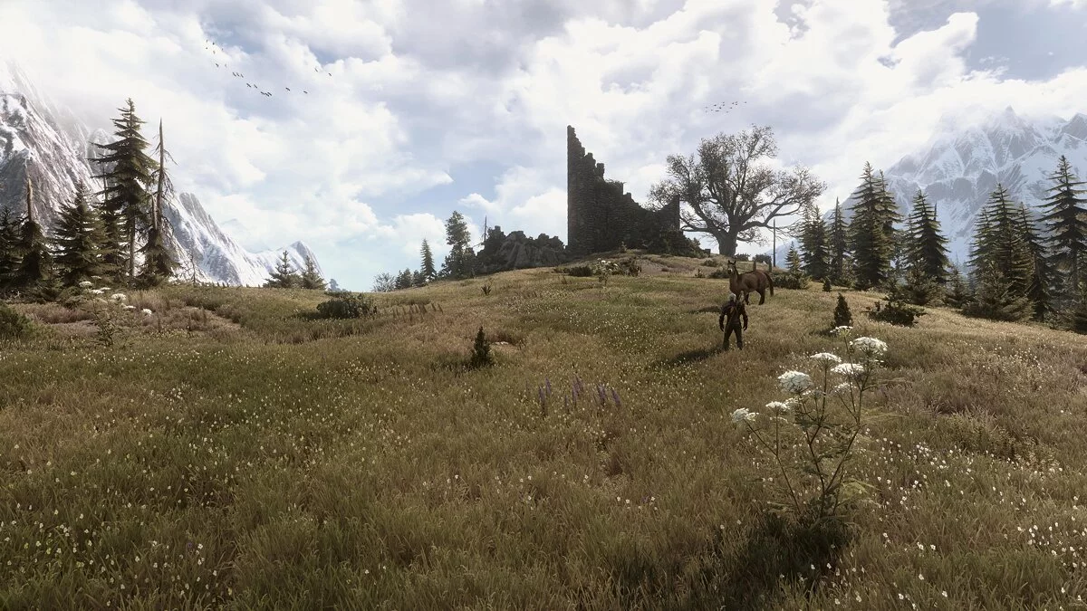 The Witcher 3: Wild Hunt — Разнообразная трава