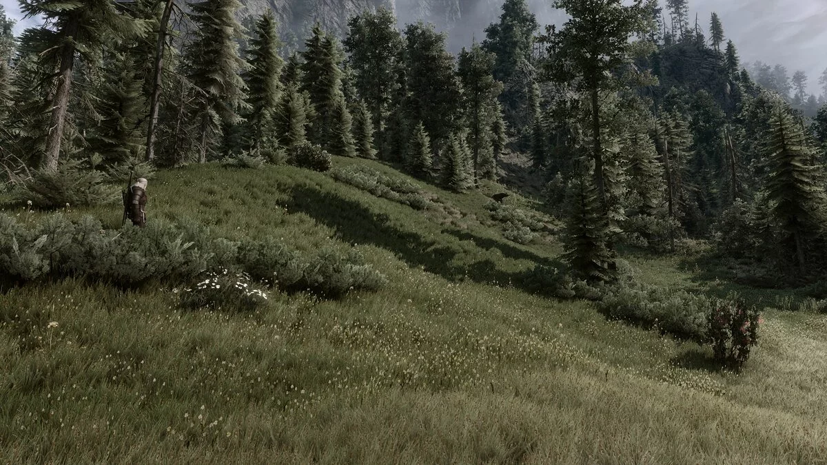 The Witcher 3: Wild Hunt — Разнообразная трава