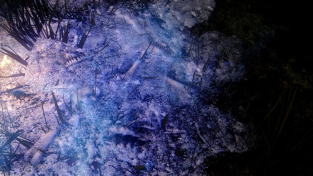 The Elder Scrolls 5: Skyrim Legendary Edition — Фотореалистичная горстка пепла