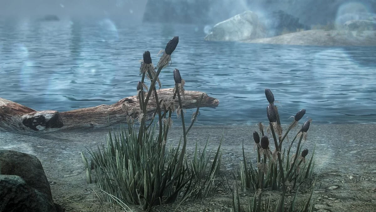 Elder Scrolls 5: Skyrim Special Edition — Улучшенный репейник