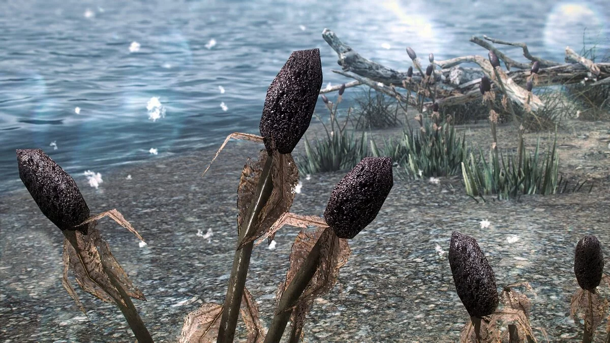 The Elder Scrolls 5: Skyrim Legendary Edition —  Улучшенный репейник