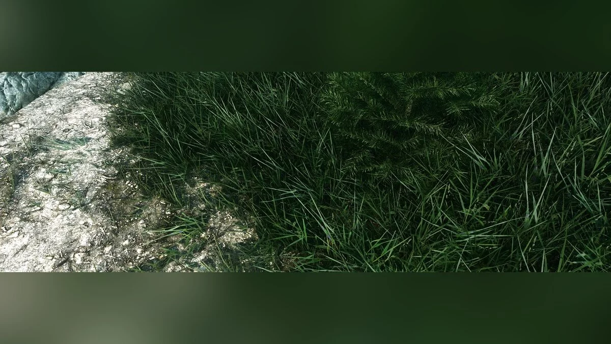 Elder Scrolls 5: Skyrim Special Edition — Реалистичные поля