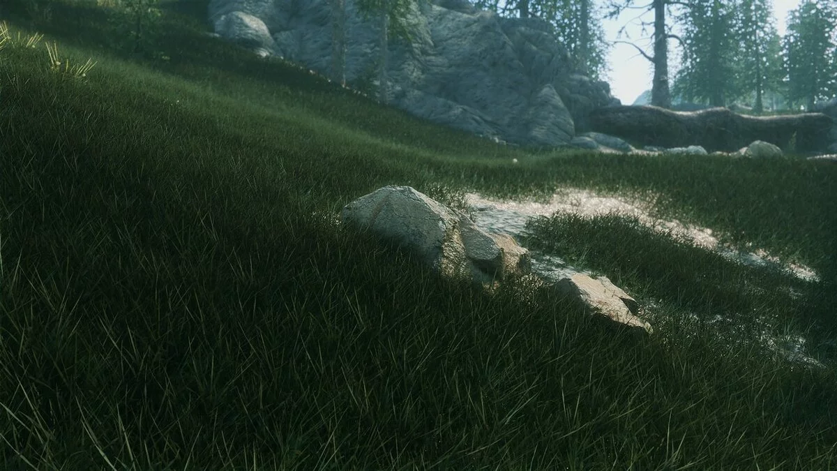 Elder Scrolls 5: Skyrim Special Edition — Реалистичные поля