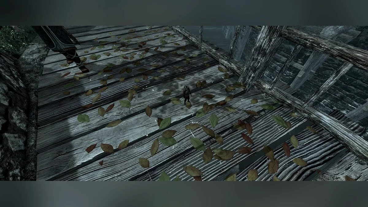 The Elder Scrolls 5: Skyrim Legendary Edition — Маленький аргонианец