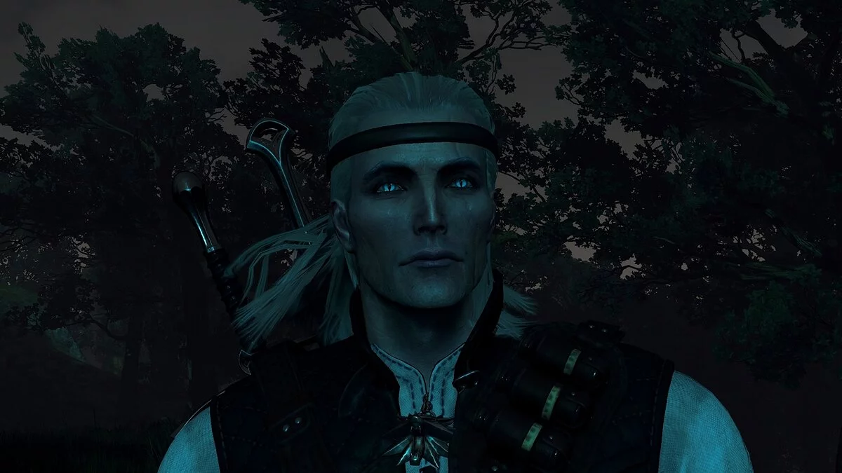 The Witcher 3: Wild Hunt - Complete Edition — Ледяные глаза