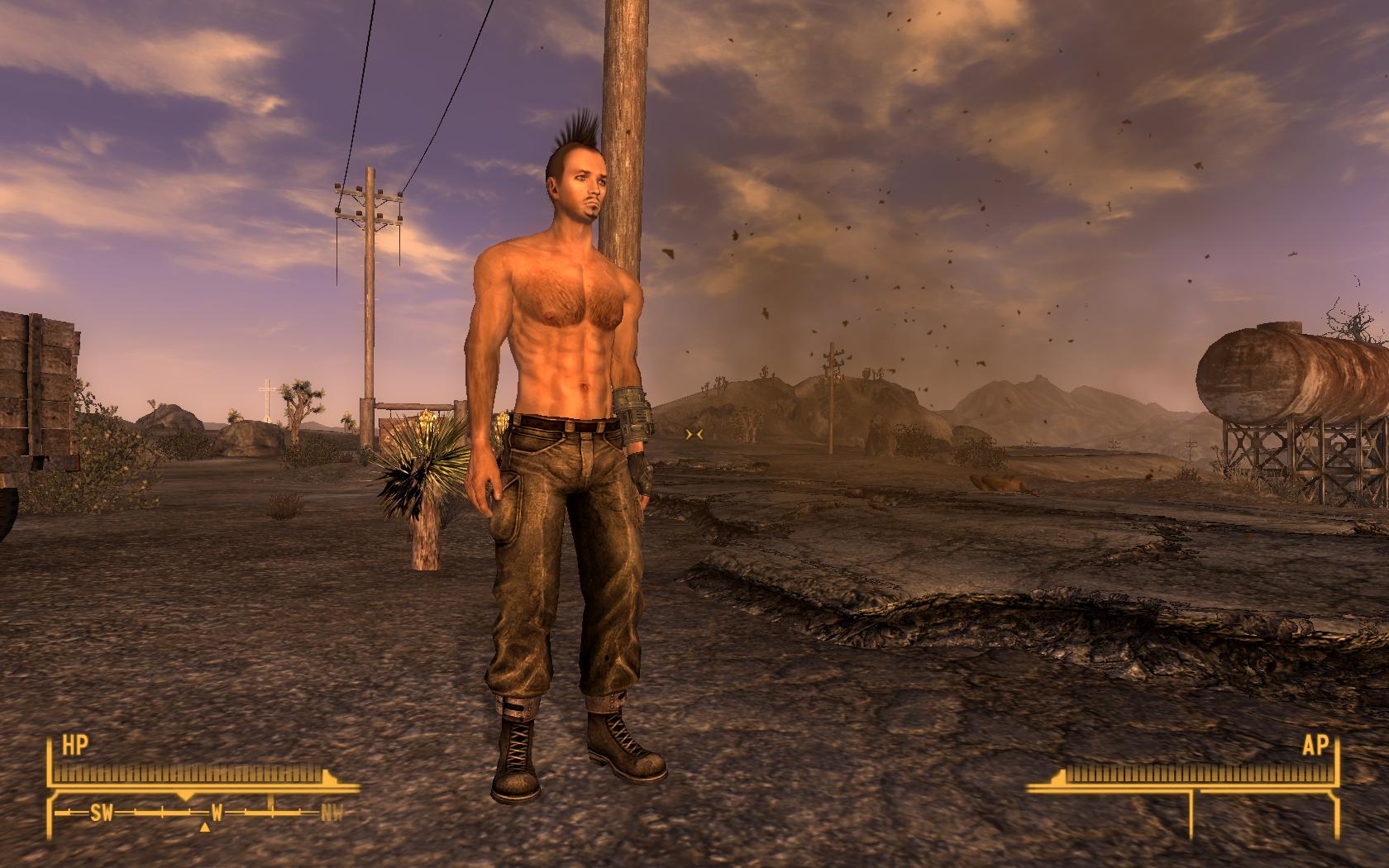 Fallout new vegas мод голые мужчины (120) фото