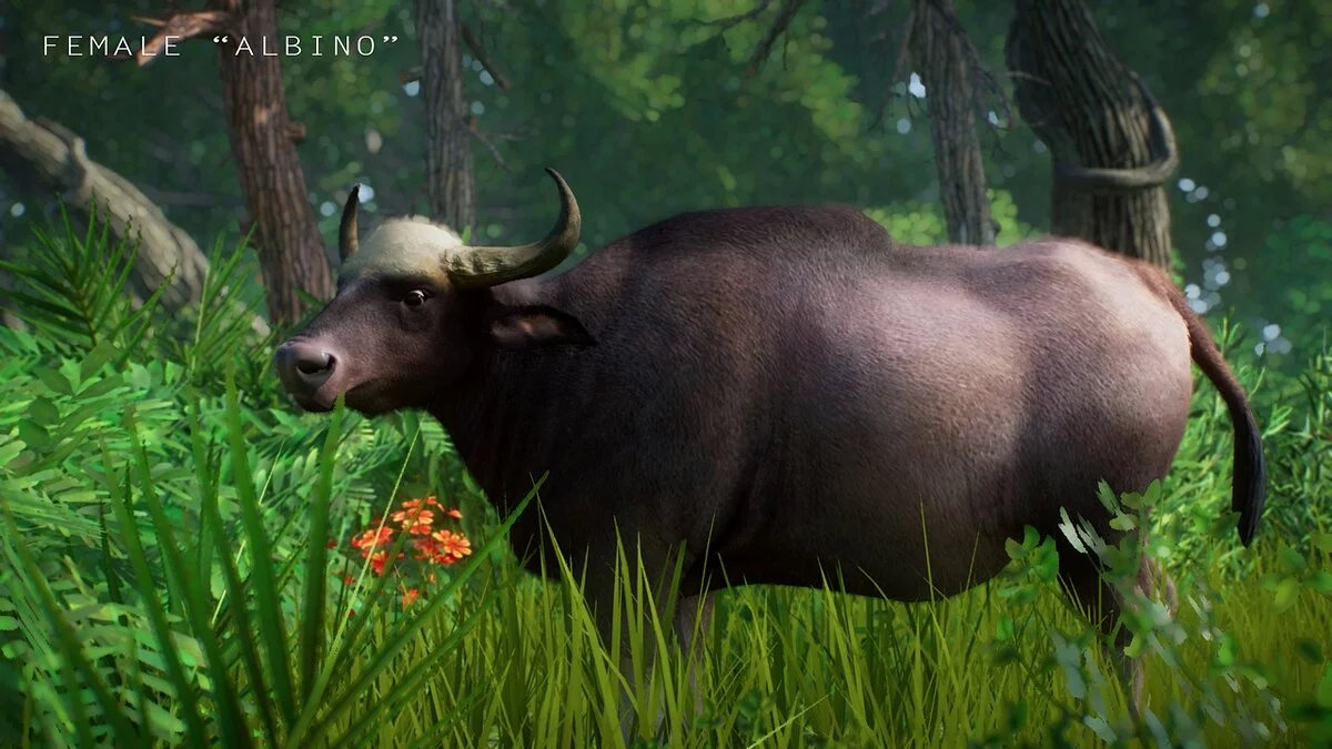 Planet Zoo — Бык гаур