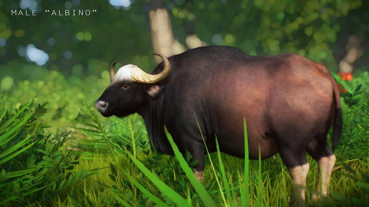 Planet Zoo — Бык гаур