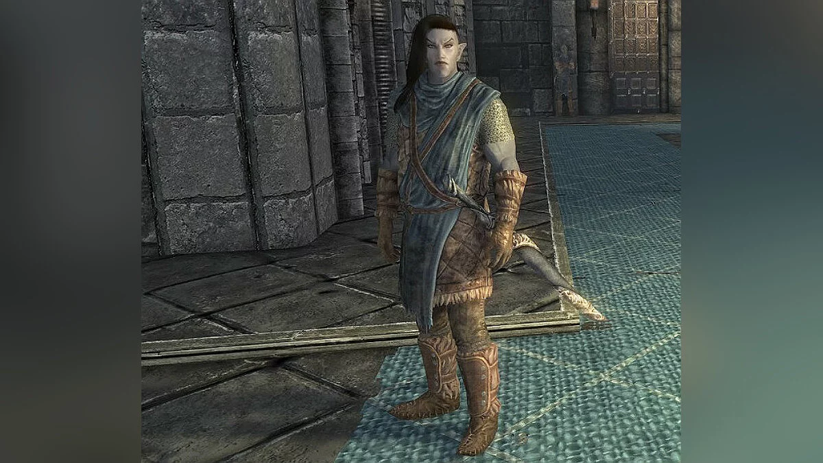 Elder Scrolls 5: Skyrim Special Edition — Компаньон Алекс