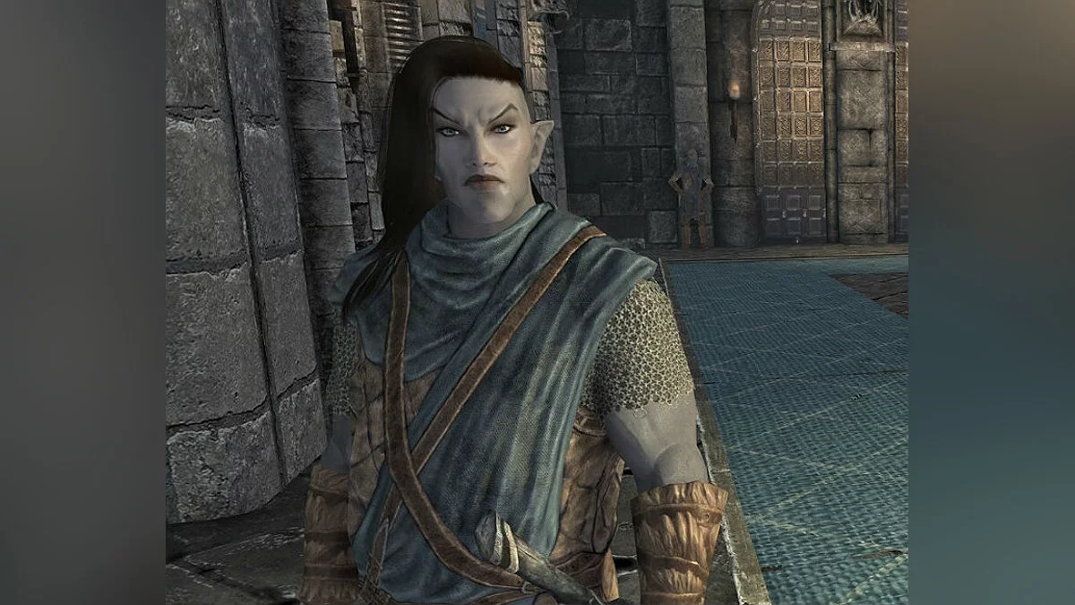 Elder Scrolls 5: Skyrim Special Edition — Компаньон Алекс