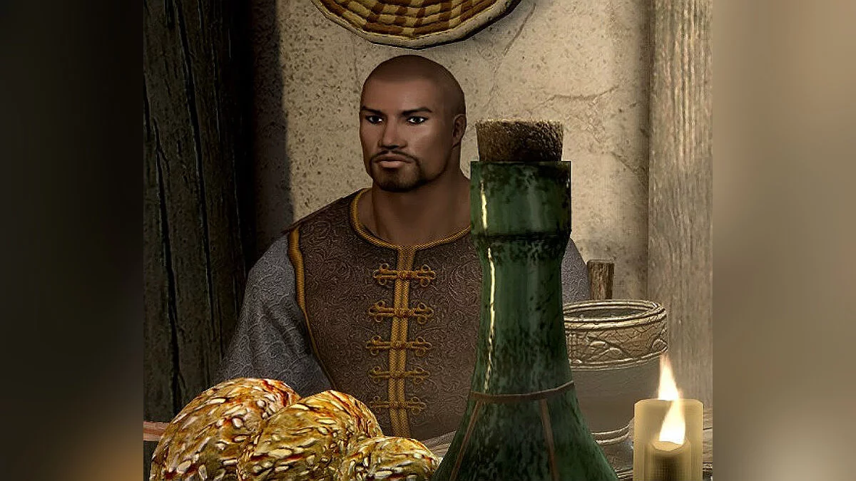 Elder Scrolls 5: Skyrim Special Edition — Компаньон Али