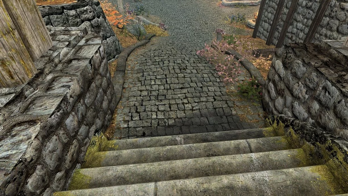 Elder Scrolls 5: Skyrim Special Edition — Влажный Вайтран