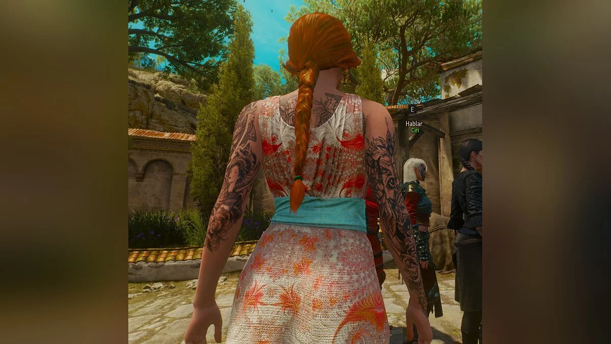 The Witcher 3: Wild Hunt - Complete Edition — Летняя Трисс