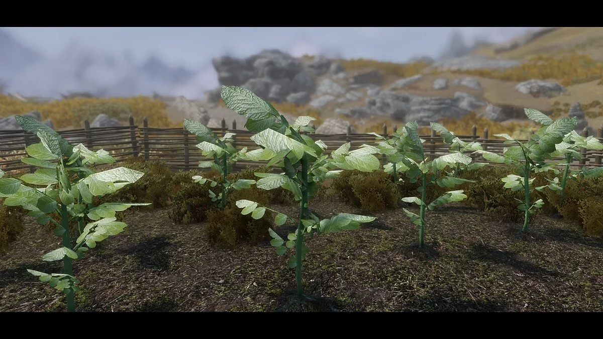 Elder Scrolls 5: Skyrim Special Edition — Сбор урожая