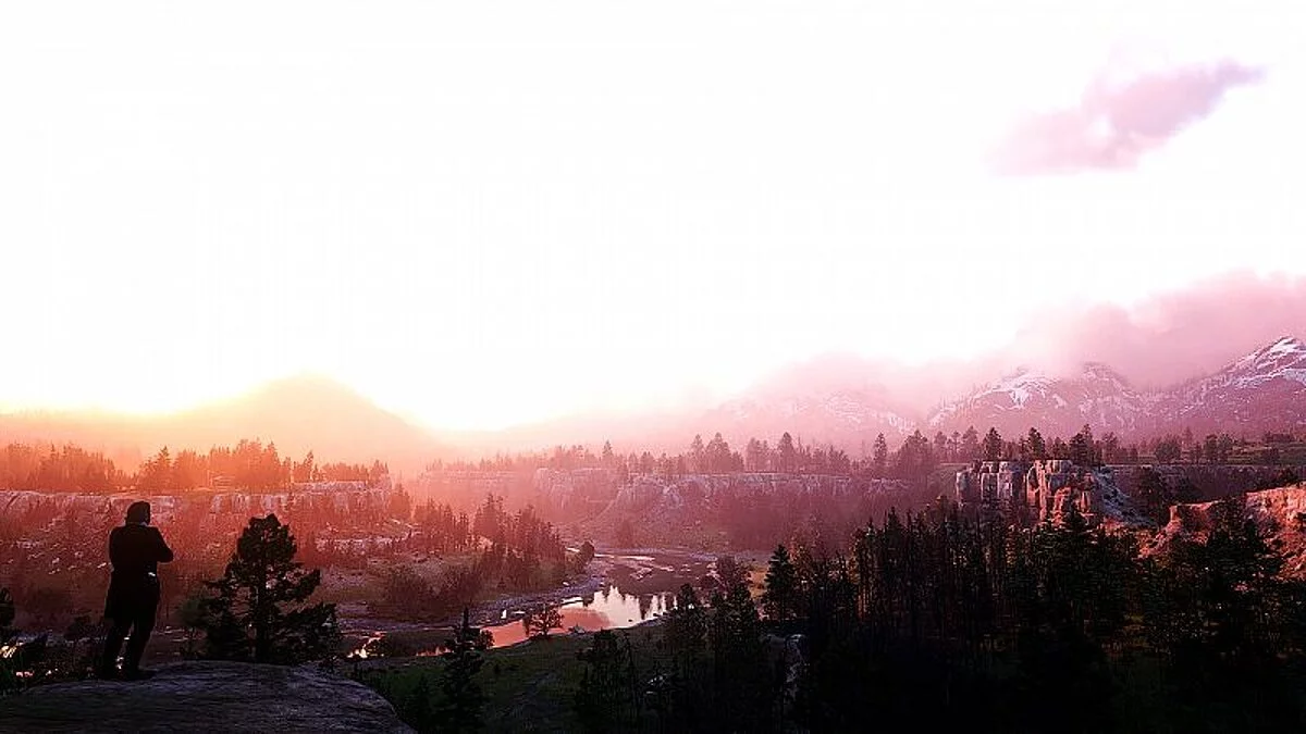 Red Dead Redemption 2 — RDR2 Natural Vision (графический решейд) v 1.5