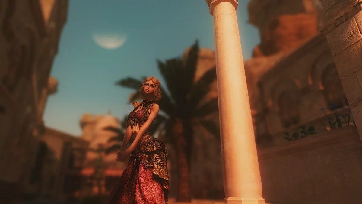 The Elder Scrolls 5: Skyrim Legendary Edition — Компаньон принцесса Зельда