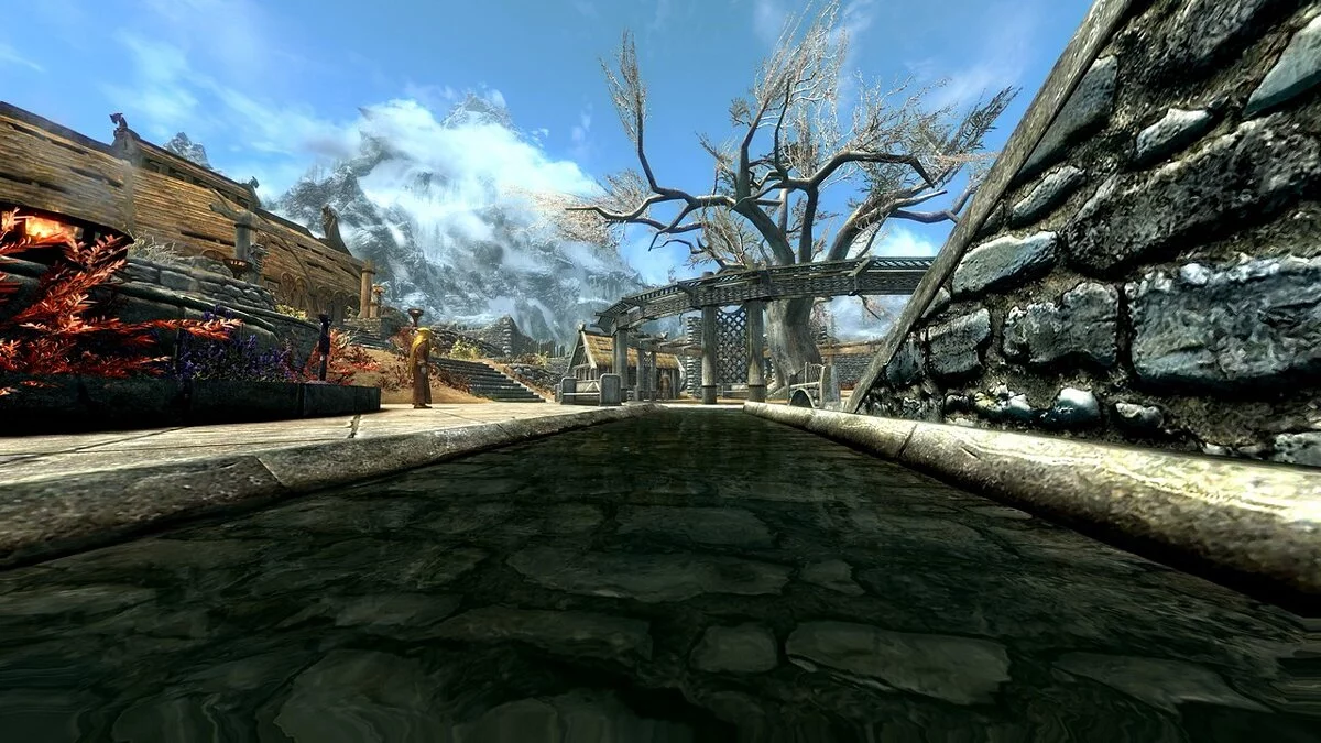 The Elder Scrolls 5: Skyrim Legendary Edition — Прозрачная вода