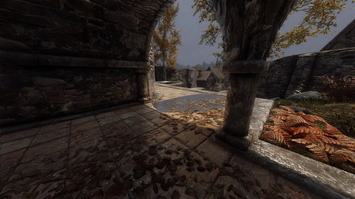 Elder Scrolls 5: Skyrim Special Edition — Лужи Рифтена