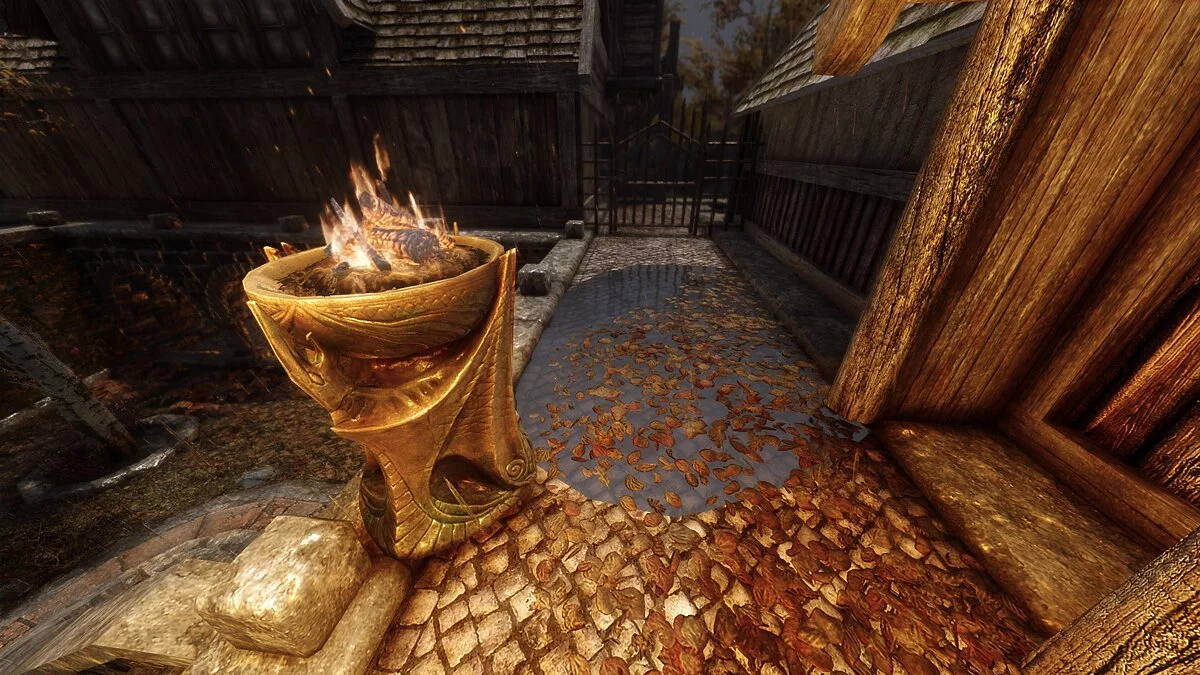 Elder Scrolls 5: Skyrim Special Edition — Лужи Рифтена