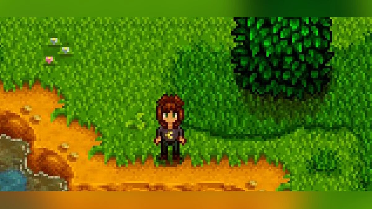 Stardew Valley — Новый персонаж - Амелия