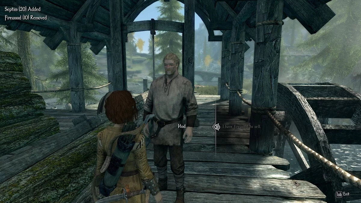 Elder Scrolls 5: Skyrim Special Edition — Новые цены для дров
