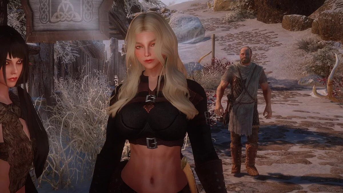 Elder Scrolls 5: Skyrim Special Edition — Компаньон Дэниз