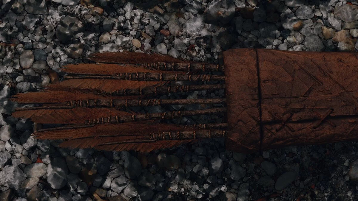 Elder Scrolls 5: Skyrim Special Edition — Улучшенные стрелы изгоев