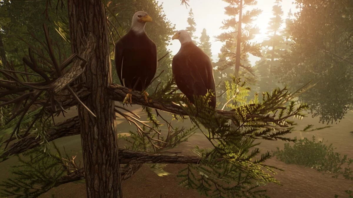 Planet Zoo — Орлы