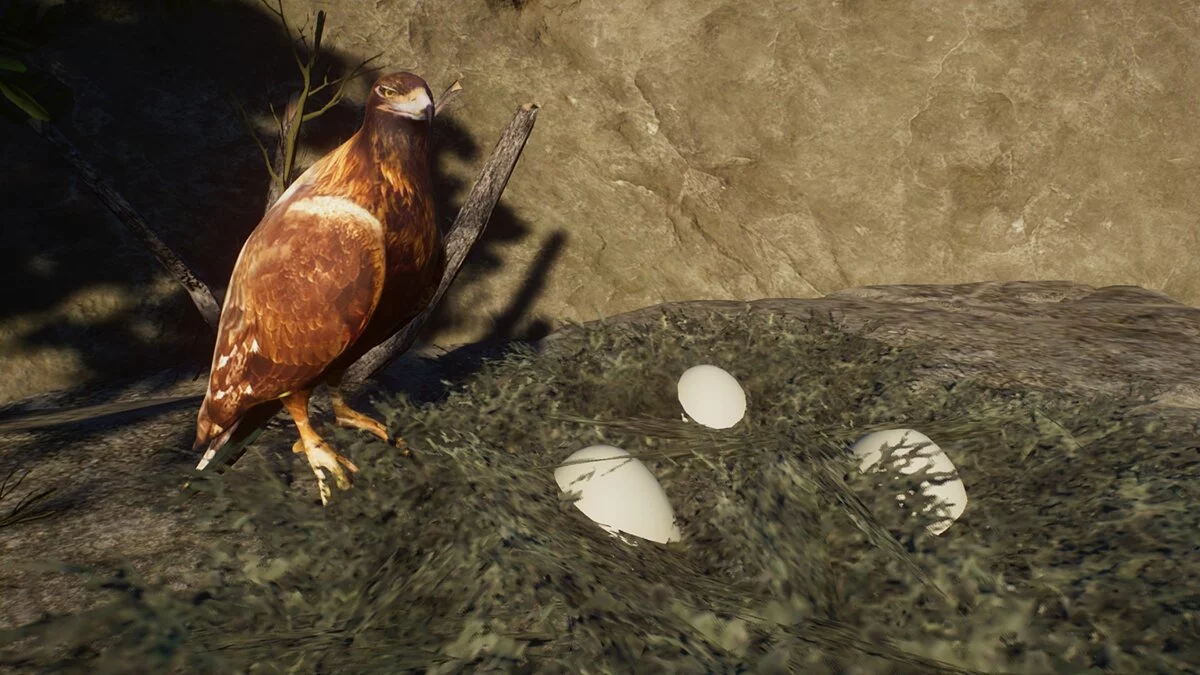 Planet Zoo — Орлы