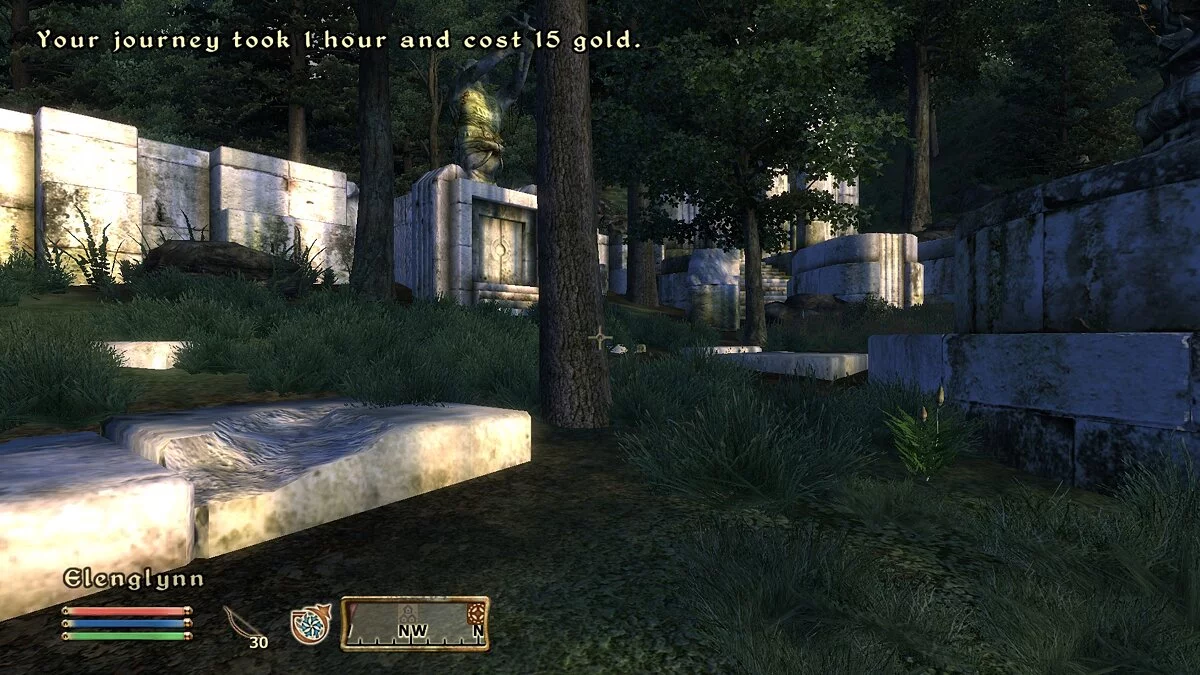 The Elder Scrolls 4: Oblivion — Платное быстрое путешествие