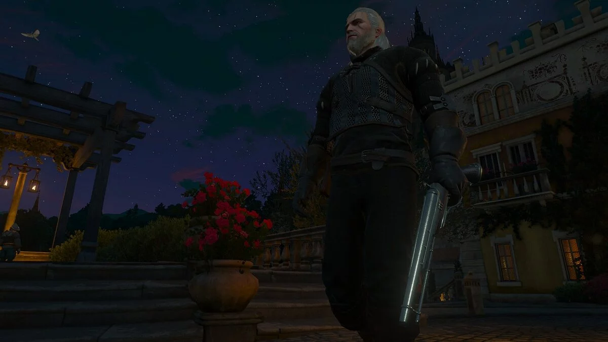 The Witcher 3: Wild Hunt - Complete Edition — Огнестрельное оружие