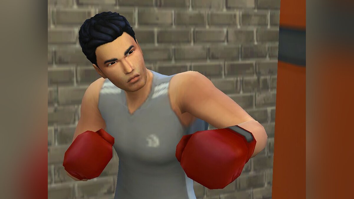The Sims 4 — Спортсмен — работа на дому