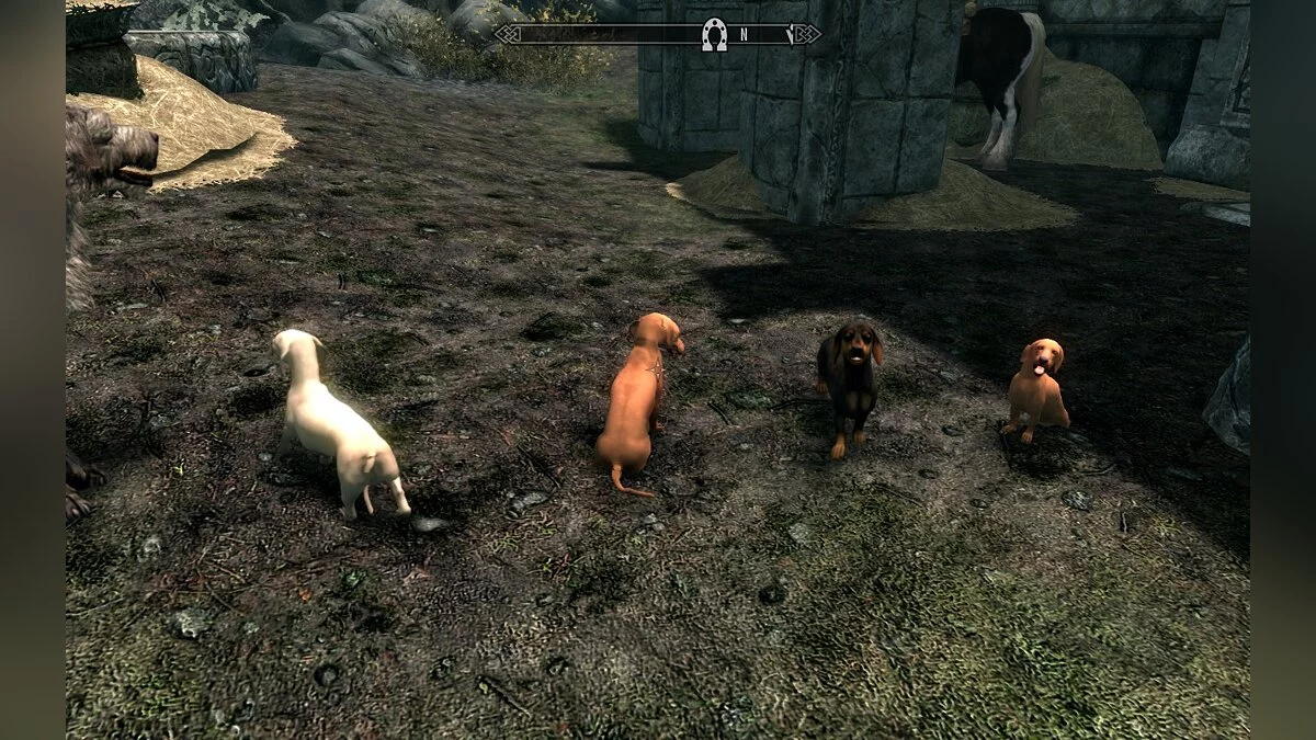 Elder Scrolls 5: Skyrim Special Edition — Таксы компаньоны