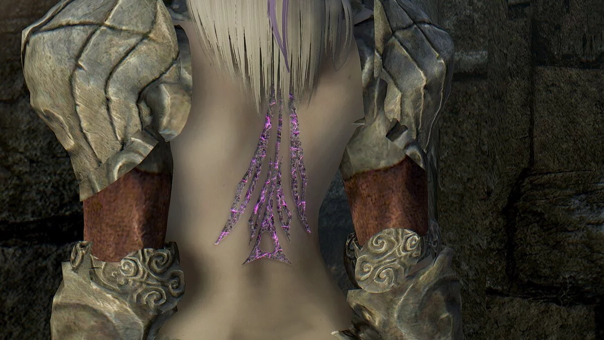 Elder Scrolls 5: Skyrim Special Edition — Компаньон Умбра