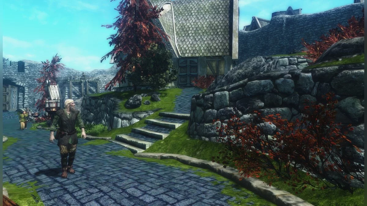 The Elder Scrolls 5: Skyrim Legendary Edition — Каменный тротуар в Вайтране