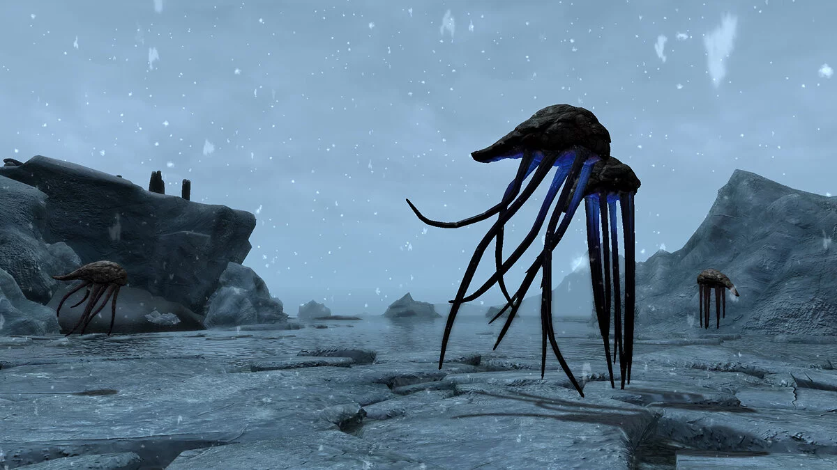 The Elder Scrolls 5: Skyrim Legendary Edition — Нетчи в Скайриме