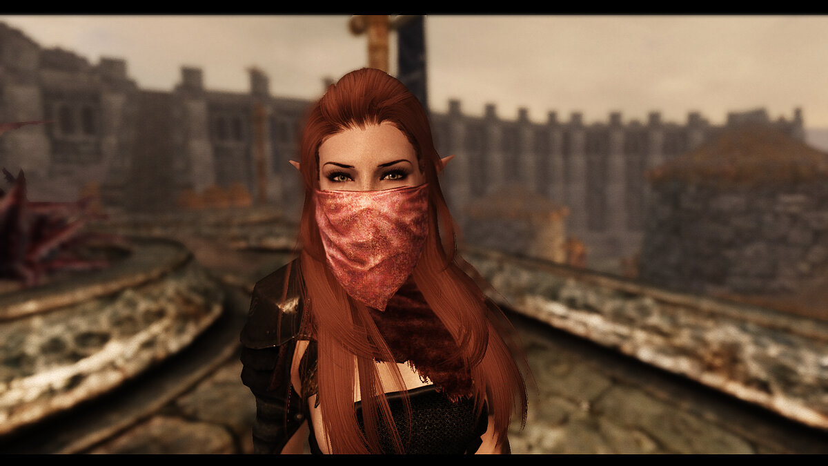 Elder Scrolls 5: Skyrim Special Edition — Маски для лица