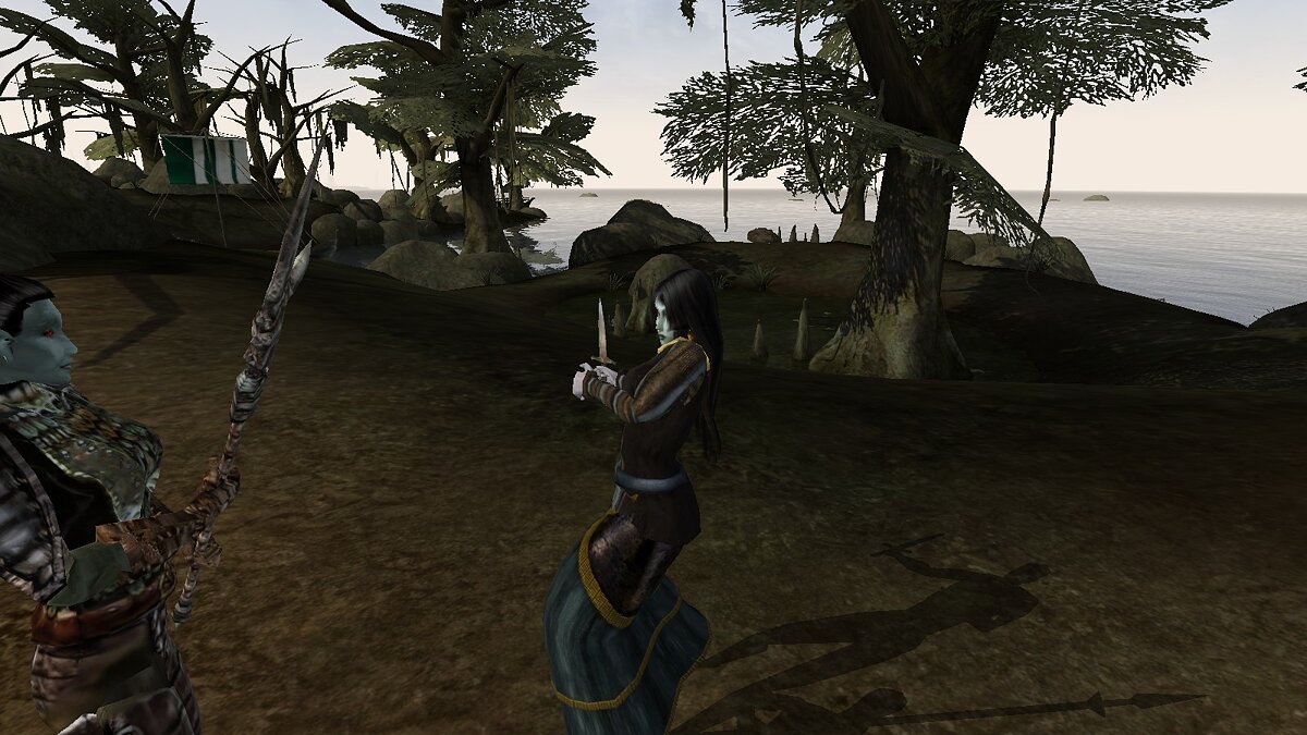 Elder Scrolls 3: Morrowind — Невидимые щиты