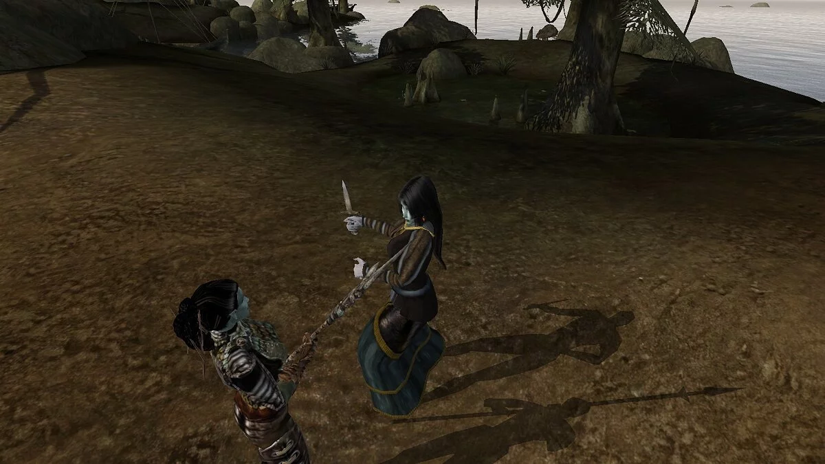 Elder Scrolls 3: Morrowind — Невидимые щиты