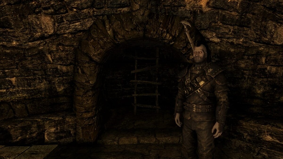 Elder Scrolls 5: Skyrim Special Edition — Охранники для гильдий