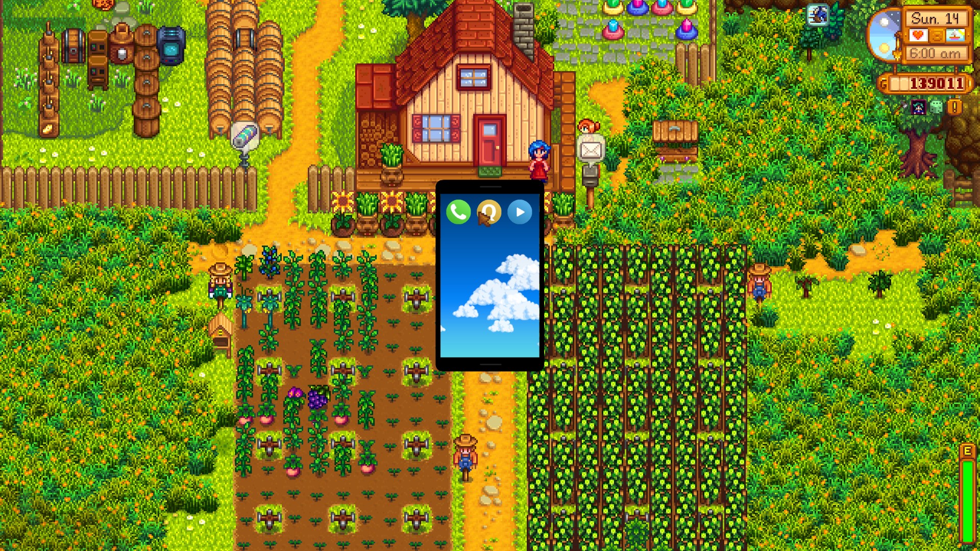 Stardew valley 1.5 mobile. Stardew Valley Хейли 18. Stardew Valley mobile. Stardew Valley скины. Любимые предметы Хейли в Stardew Valley.